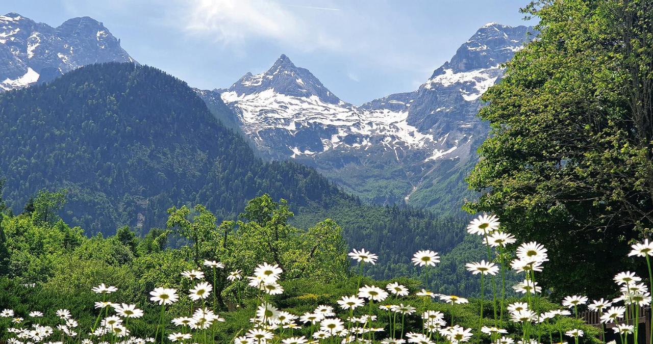 Ferienwohnungen Schweinoester Лофер Экстерьер фото