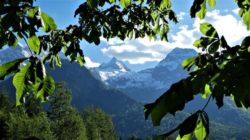 Ferienwohnungen Schweinoester Лофер Экстерьер фото